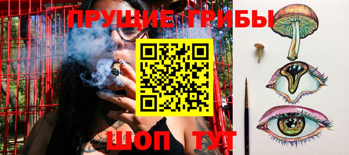 Рассказово  Галлюциногенные грибы Cubensis  Вход с VPN 